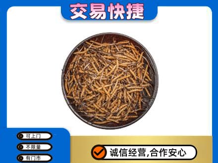 绥化绥棱县礼品回收虫草.jpg